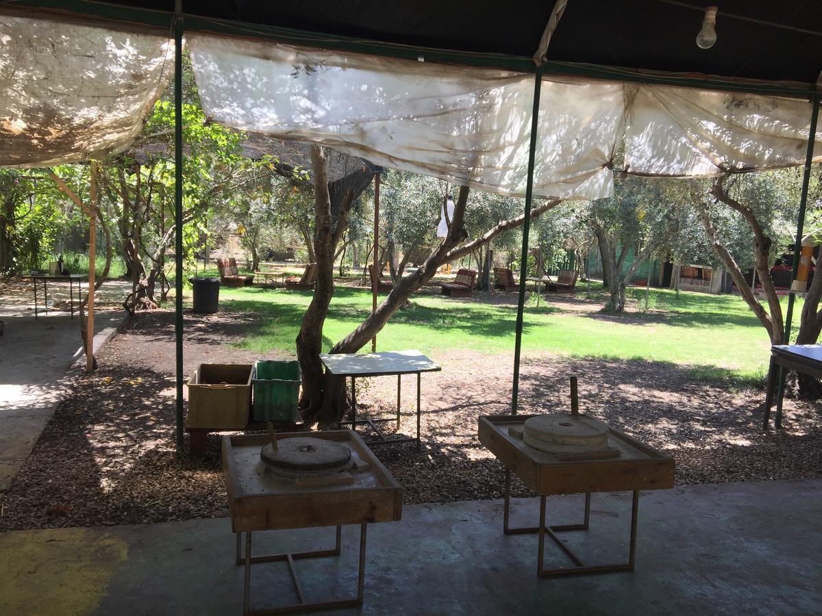 فيلا Peace Tent Kfar Rut المظهر الخارجي الصورة